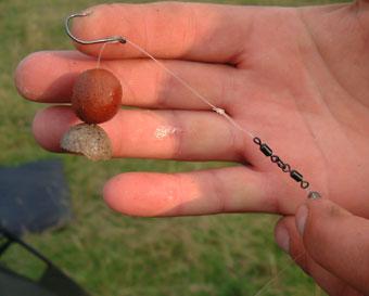 tehnici - onehalfboilie.jpg